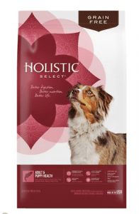 Holistic Select Adult Puppy Health Salmon Anchovy Sardine Meal Recipe Grain Free Dry Dog Food