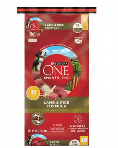 Purina ONE SmartBlend Lamb Rice Adult Formula Dry Dog Food
