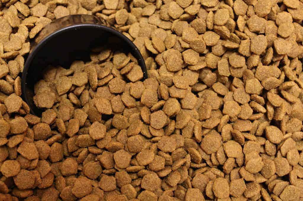 Dog food dry