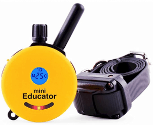 Educator E Collar Remote Dog Training Collar