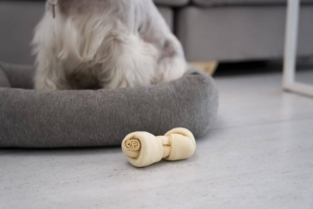 The Best Dog Beds To Buy In 2024 Here's What You NEED To Know