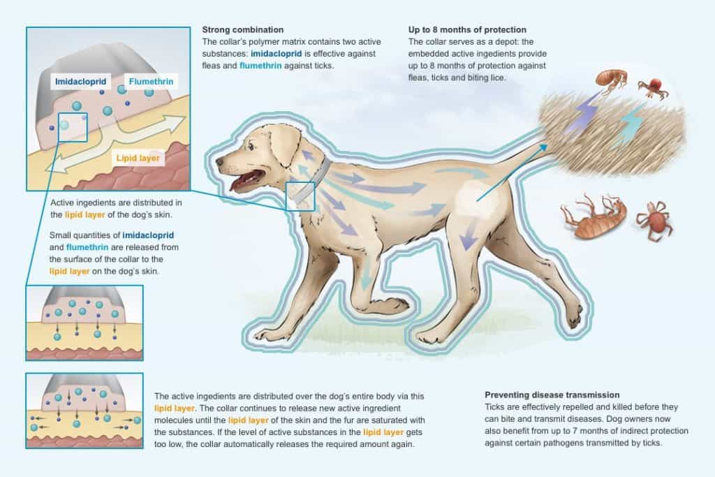 seresto sentinel spectrum for dogs