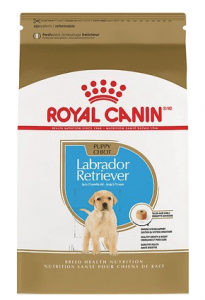 Royal Canin Breed Health Nutrition Labrador Retriever Puppy Dry Dog Food