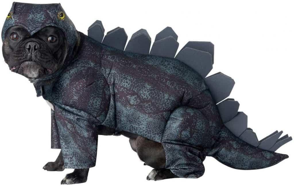 Stegosaurus Dinosaur Dog Costume