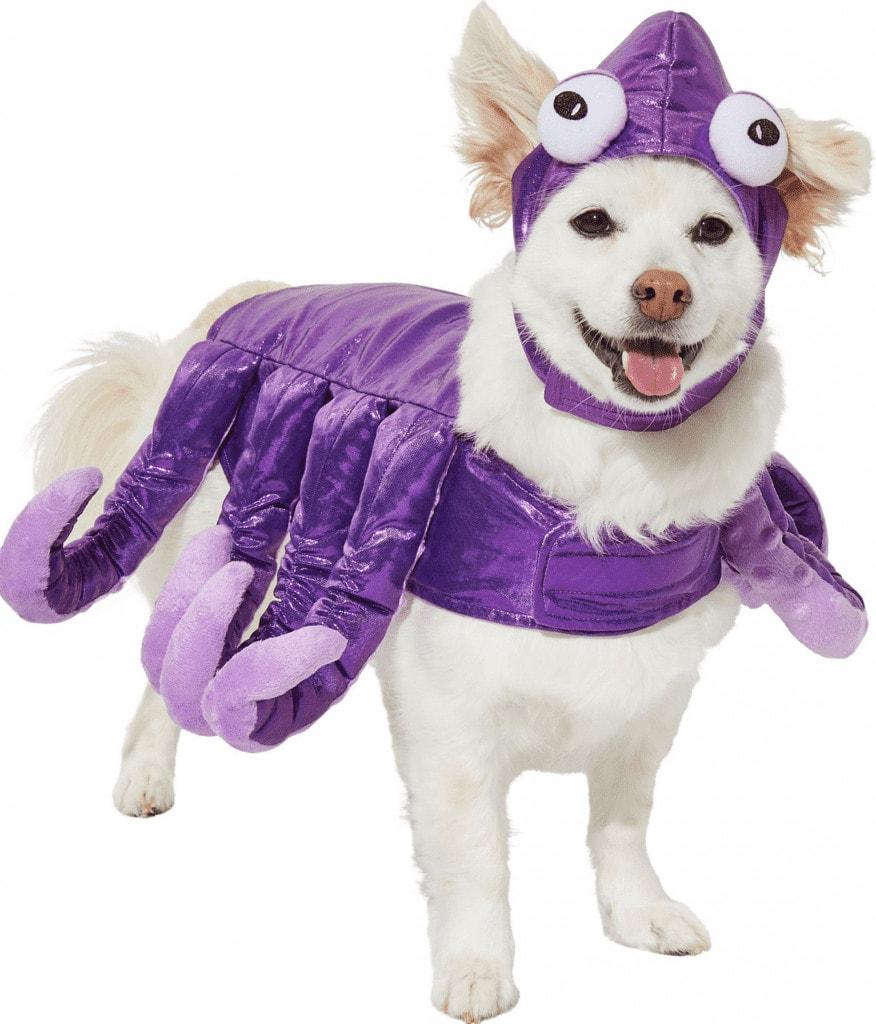 best dog Halloween costume Octopus Dog