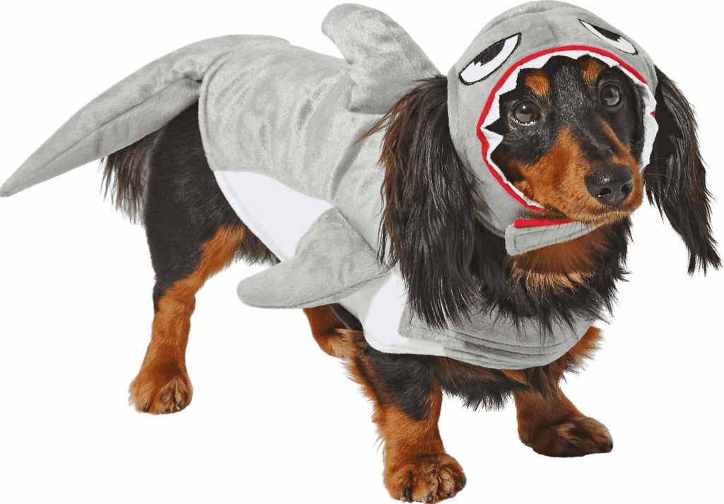 best dog costumes Halloween Shark Attack