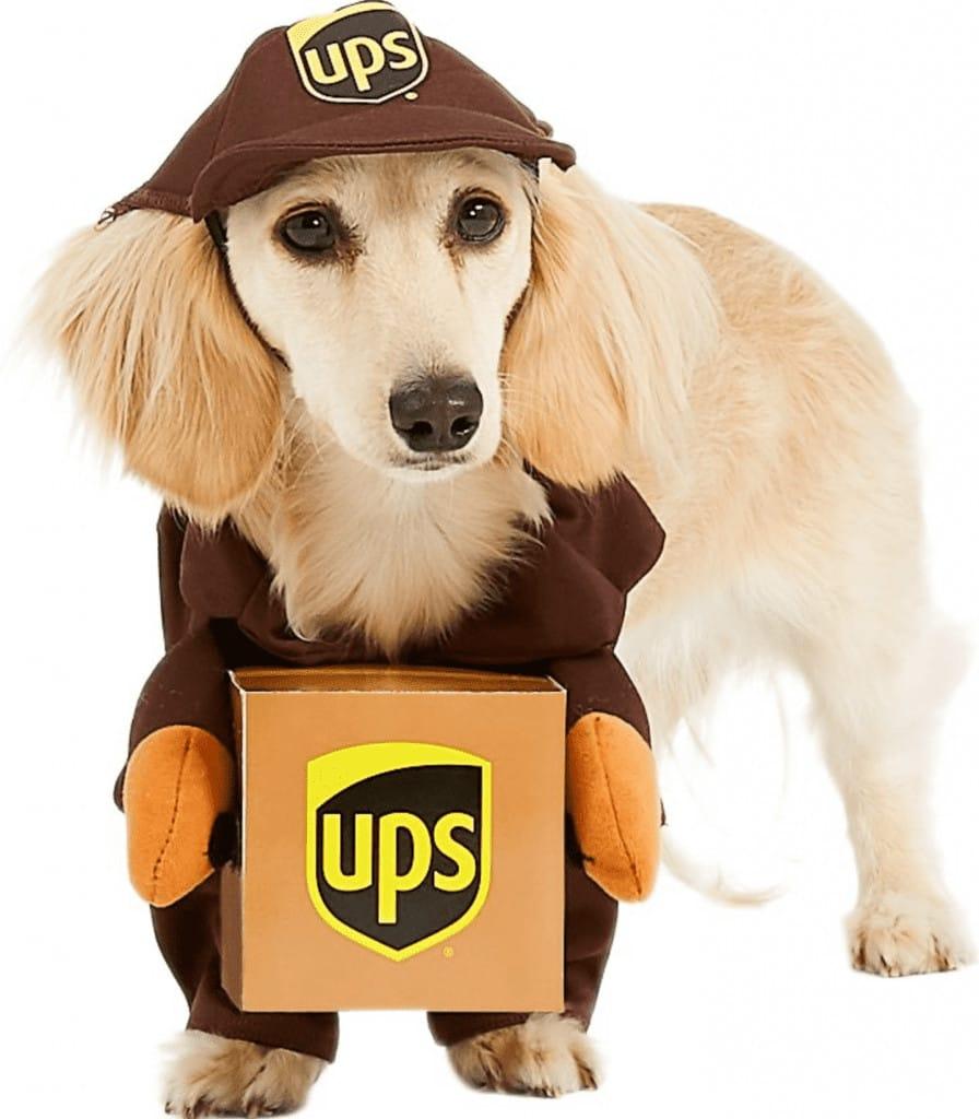 best dog halloween costume UPS 2021