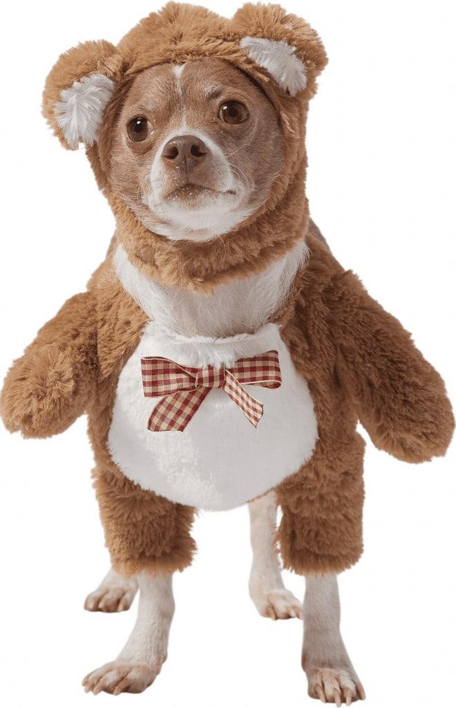 best dog halloween costume frisco frond walking teddy bear