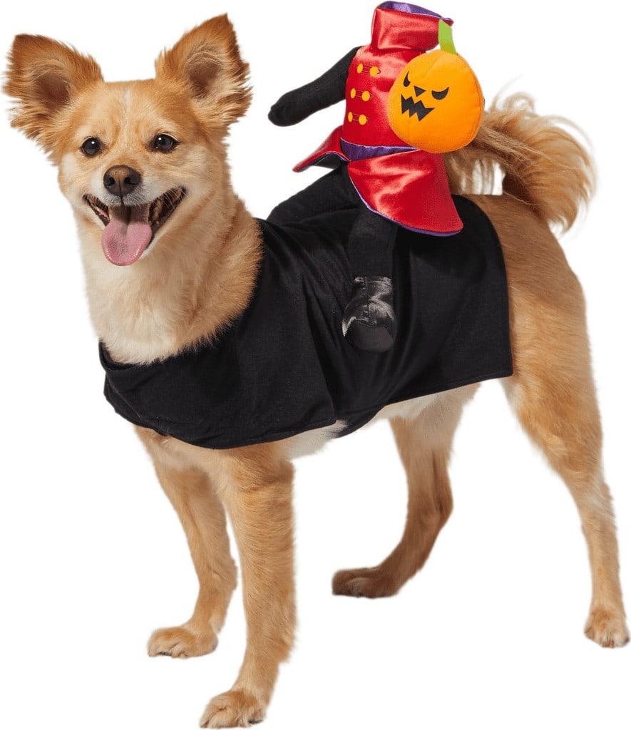 best dog helloween custume headless rider 1