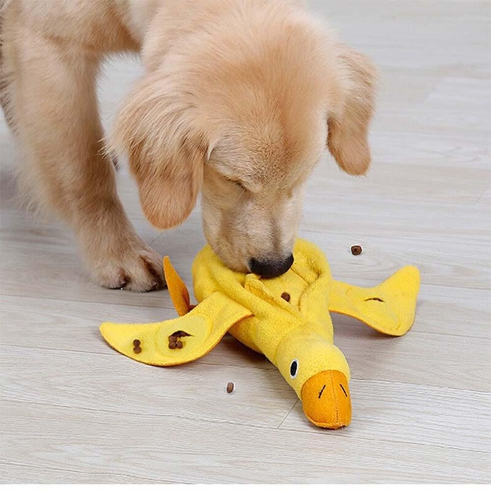 interactive dog squeaky duck toy