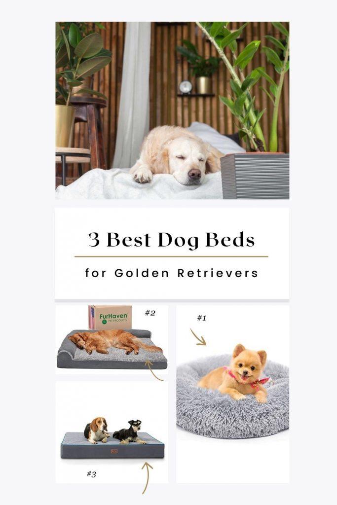3 Best Dog Beds for Golden Retrievers