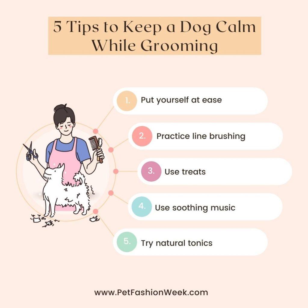 How to Keep a Dog Calm While Grooming – Our 5 Useful Tips