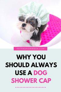 Why You Should Always Use a Dog Shower Cap