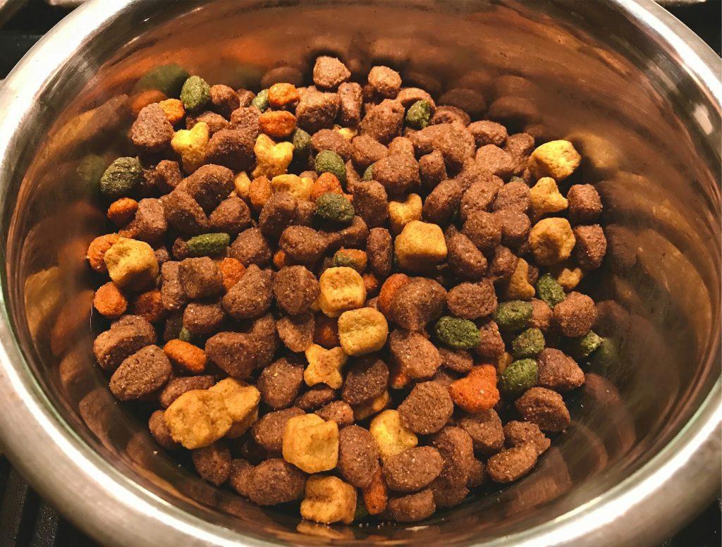 Dog food dry kibble in a stainless steel dog food bowl